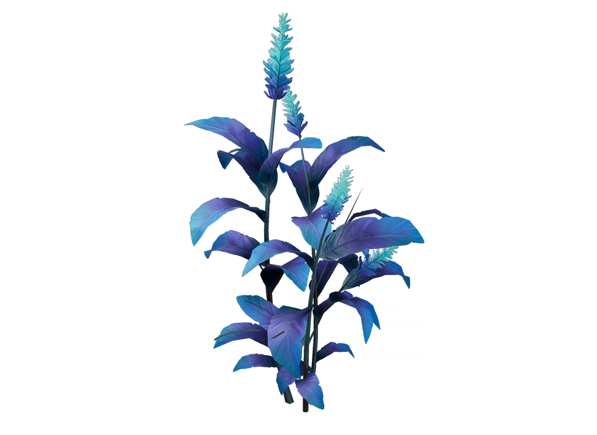 灵草记录图