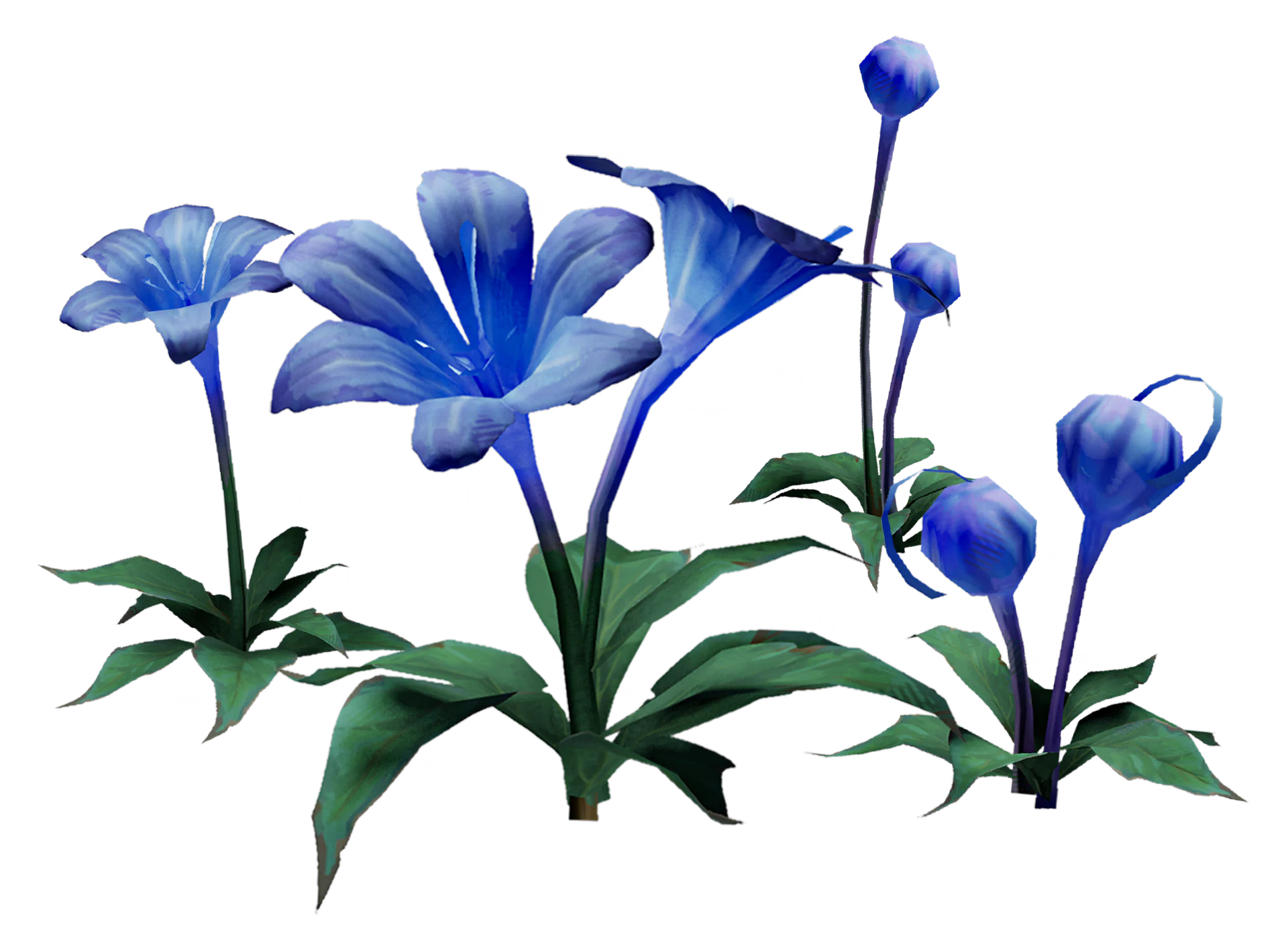 月光花记录图